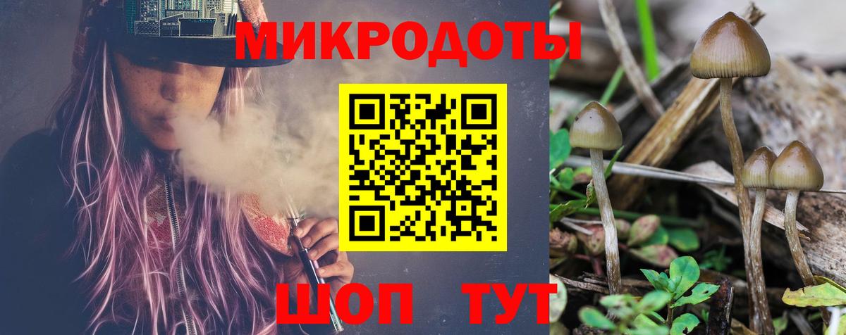 Псилоцибиновые грибы мухоморы  как найти   Вход с VPN  Новоалтайск  Галлюциногенные грибы Psilocybine cubensis 